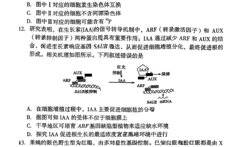 福建省龙岩市2026年高中毕业班三月教学质量检测生物试题+答案_2024-2026高三（6-6月题库）_2026年03月高三试卷_260310福建省龙岩市2026年高中毕业班三月教学质量检测（全科）