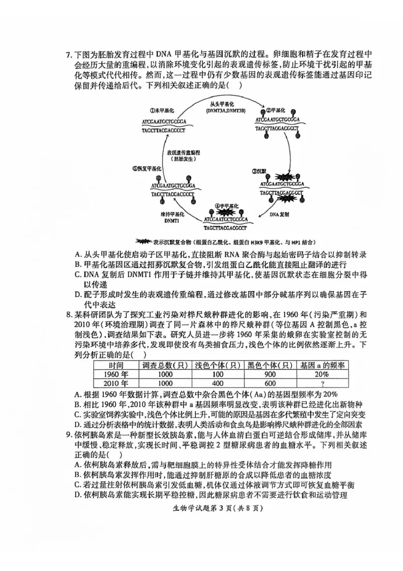安徽淮北市2026届高三下学期第二次质量检测生物试卷（含解析）_2024-2026高三（6-6月题库）_2026年04月高三试卷_260422安徽淮北市2026届高三下学期第二次质量检测