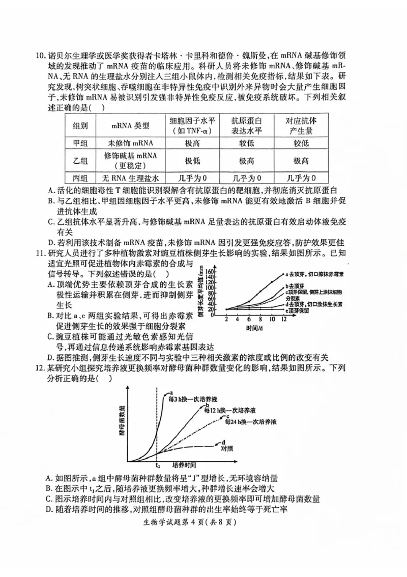 安徽淮北市2026届高三下学期第二次质量检测生物试卷（含解析）_2024-2026高三（6-6月题库）_2026年04月高三试卷_260422安徽淮北市2026届高三下学期第二次质量检测