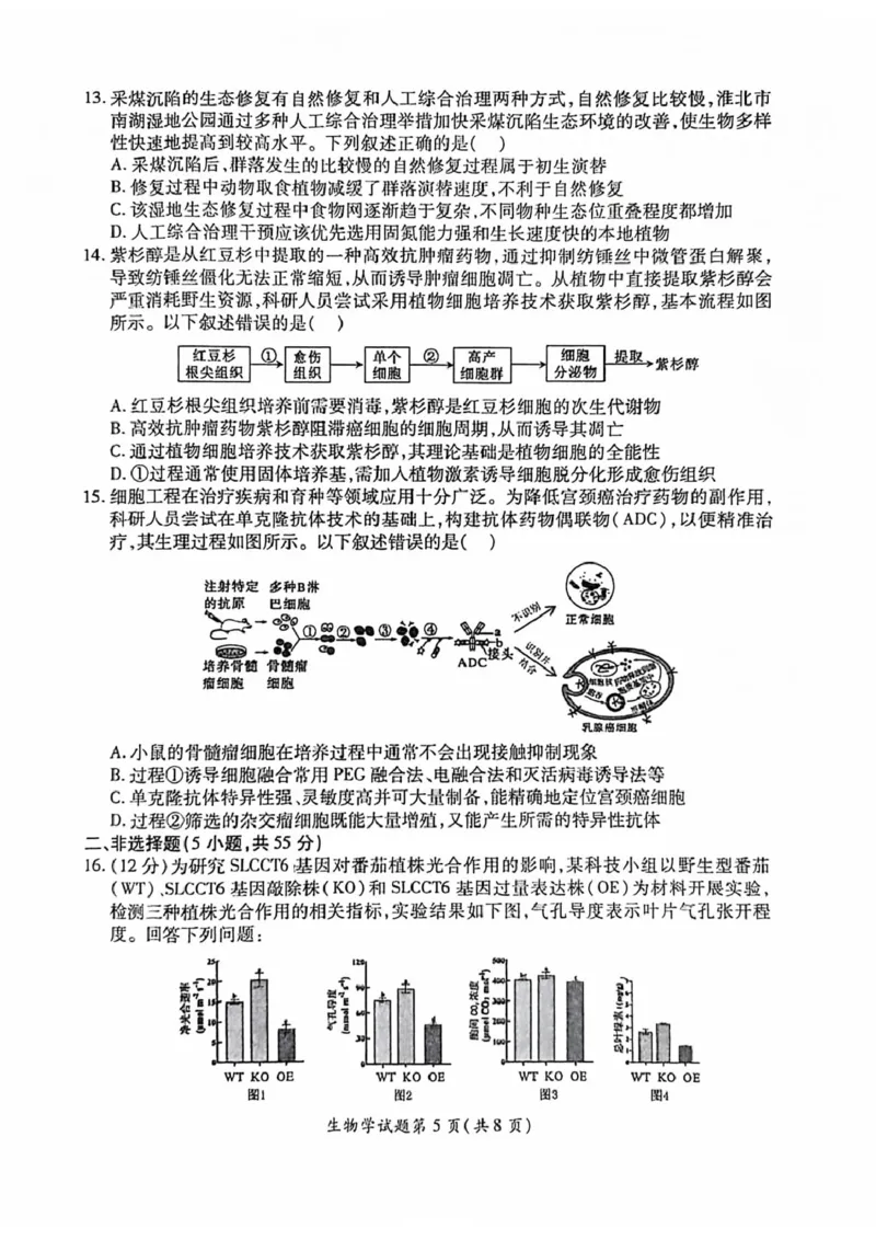 安徽淮北市2026届高三下学期第二次质量检测生物试卷（含解析）_2024-2026高三（6-6月题库）_2026年04月高三试卷_260422安徽淮北市2026届高三下学期第二次质量检测