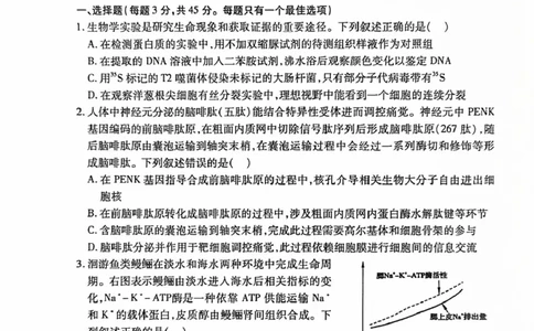 安徽淮北市2026届高三下学期第二次质量检测生物试卷（含解析）_2024-2026高三（6-6月题库）_2026年04月高三试卷_260422安徽淮北市2026届高三下学期第二次质量检测