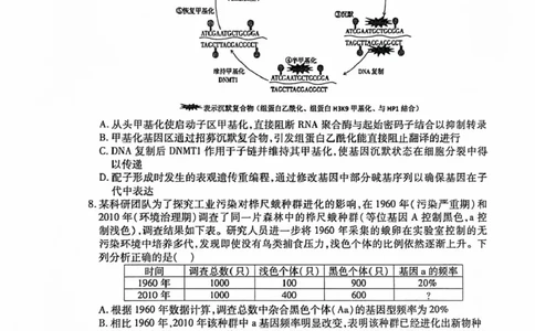 安徽淮北市2026届高三下学期第二次质量检测生物试卷（含解析）_2024-2026高三（6-6月题库）_2026年04月高三试卷_260422安徽淮北市2026届高三下学期第二次质量检测
