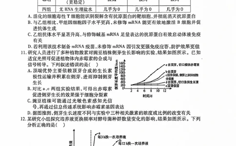 安徽淮北市2026届高三下学期第二次质量检测生物试卷（含解析）_2024-2026高三（6-6月题库）_2026年04月高三试卷_260422安徽淮北市2026届高三下学期第二次质量检测