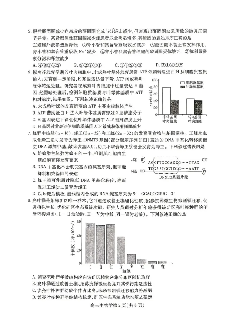 内江市高2026届适应性训练试题生物_2024-2026高三（6-6月题库）_2026年04月高三试卷_260427四川省内江市高2026届适应性训练试题（内江三模）（全科）