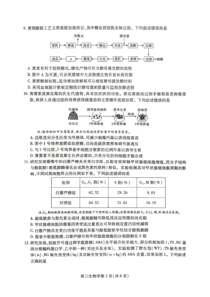 内江市高2026届适应性训练试题生物_2024-2026高三（6-6月题库）_2026年04月高三试卷_260427四川省内江市高2026届适应性训练试题（内江三模）（全科）