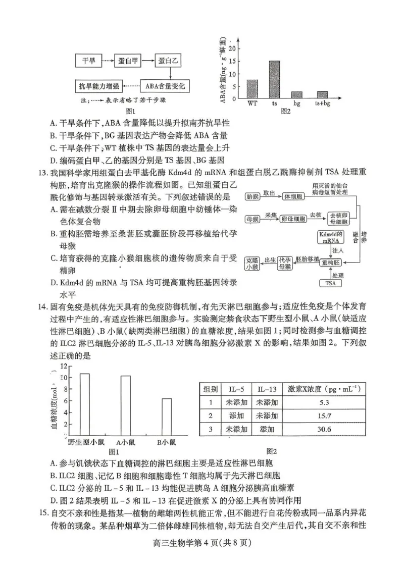 内江市高2026届适应性训练试题生物_2024-2026高三（6-6月题库）_2026年04月高三试卷_260427四川省内江市高2026届适应性训练试题（内江三模）（全科）