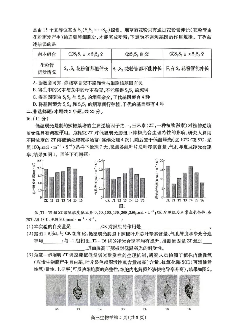内江市高2026届适应性训练试题生物_2024-2026高三（6-6月题库）_2026年04月高三试卷_260427四川省内江市高2026届适应性训练试题（内江三模）（全科）