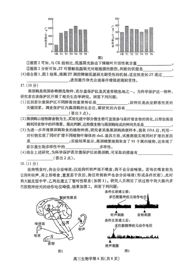 内江市高2026届适应性训练试题生物_2024-2026高三（6-6月题库）_2026年04月高三试卷_260427四川省内江市高2026届适应性训练试题（内江三模）（全科）