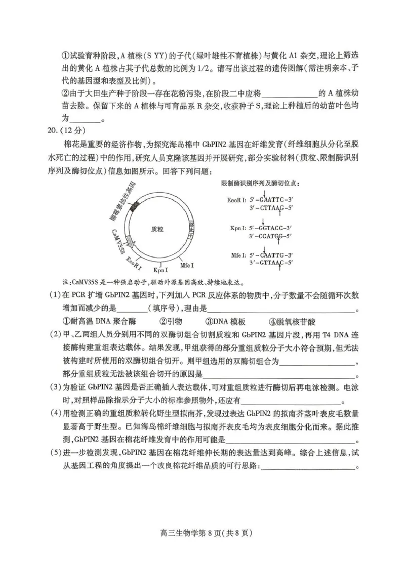 内江市高2026届适应性训练试题生物_2024-2026高三（6-6月题库）_2026年04月高三试卷_260427四川省内江市高2026届适应性训练试题（内江三模）（全科）