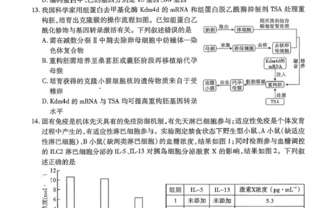 内江市高2026届适应性训练试题生物_2024-2026高三（6-6月题库）_2026年04月高三试卷_260427四川省内江市高2026届适应性训练试题（内江三模）（全科）