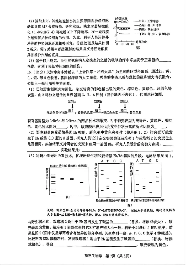 河东区25-26高三一模生物试题_2024-2026高三（6-6月题库）_2026年04月高三试卷_2604072026届天津市河东区高三下学期总复习质量检测（一）（全科）