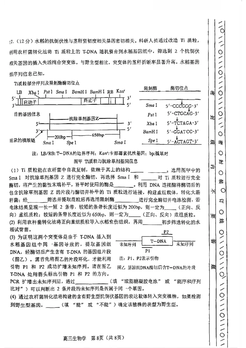 河东区25-26高三一模生物试题_2024-2026高三（6-6月题库）_2026年04月高三试卷_2604072026届天津市河东区高三下学期总复习质量检测（一）（全科）