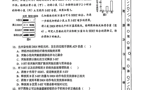 河东区25-26高三一模生物试题_2024-2026高三（6-6月题库）_2026年04月高三试卷_2604072026届天津市河东区高三下学期总复习质量检测（一）（全科）
