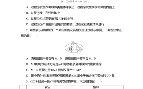 夯基提能练10光合作用与细胞呼吸的综合运用-备战2023高考生物一轮复习夯基提能练（全国通用）（解析版）_通用版（老高考）复习资料_2023年复习资料_一轮复习