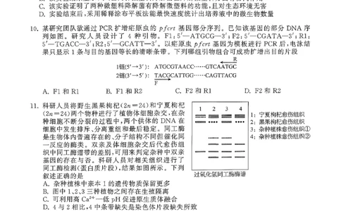 辽宁省抚顺市清原满族自治县高级中学2025-2026学年高三下学期模拟调研卷生物试题（二）_2024-2026高三（6-6月题库）_2026年04月高三试卷