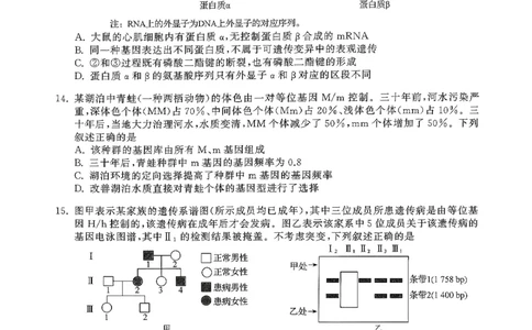 辽宁省抚顺市清原满族自治县高级中学2025-2026学年高三下学期模拟调研卷生物试题（二）_2024-2026高三（6-6月题库）_2026年04月高三试卷