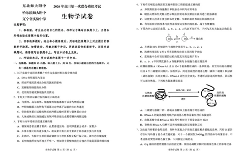 东北三省三校2026年高三第一次联合模拟考试生物试题生物试题_2024-2026高三（6-6月题库）_2026年03月高三试卷