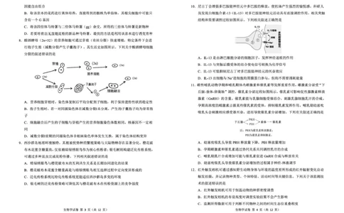 东北三省三校2026年高三第一次联合模拟考试生物试题生物试题_2024-2026高三（6-6月题库）_2026年03月高三试卷