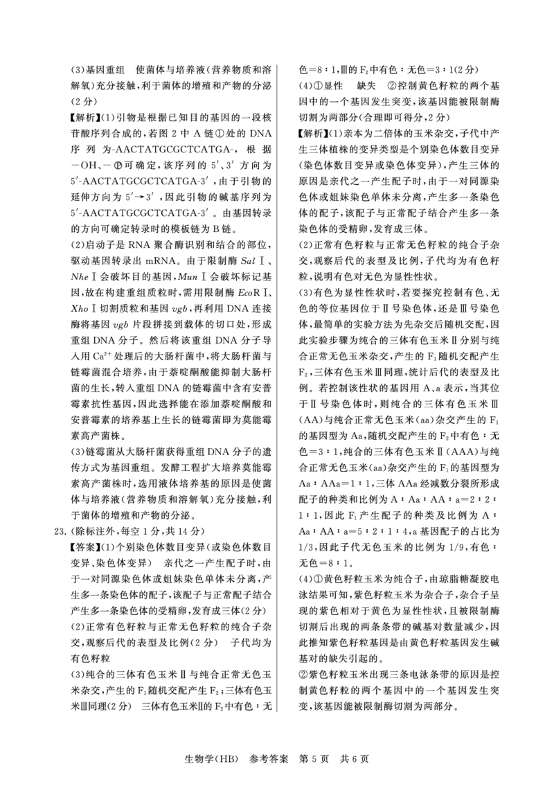 生物-河北版八省T8联考2026届高三年级四月阶段练习_2024-2026高三（6-6月题库）_2026年04月高三试卷_2604092026届八省八校T8联考高三下学期4月联合测评_2026届河北T8联考高三下学期4月联合测评