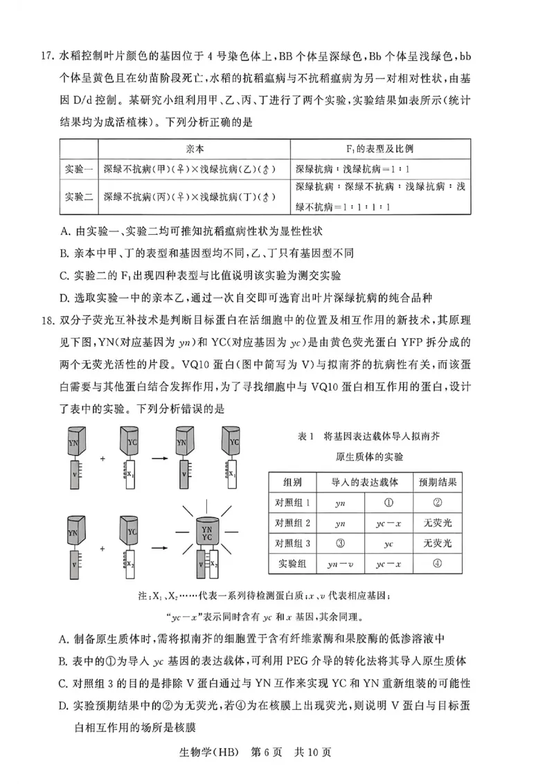 生物-河北版八省T8联考2026届高三年级四月阶段练习_2024-2026高三（6-6月题库）_2026年04月高三试卷_2604092026届八省八校T8联考高三下学期4月联合测评_2026届河北T8联考高三下学期4月联合测评