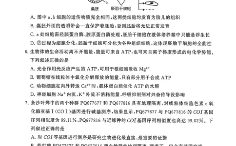生物-河北版八省T8联考2026届高三年级四月阶段练习_2024-2026高三（6-6月题库）_2026年04月高三试卷_2604092026届八省八校T8联考高三下学期4月联合测评_2026届河北T8联考高三下学期4月联合测评