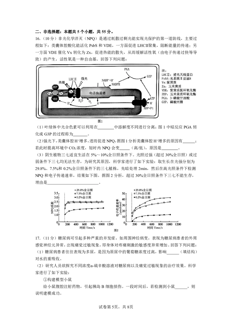 成都市第七中学2025~2026学年度下期高2026届二诊模拟考试生物_2024-2026高三（6-6月题库）_2026年03月高三试卷_260313四川省成都市第七中学2025~2026学年度下期高2026届二诊模拟考试（全科)