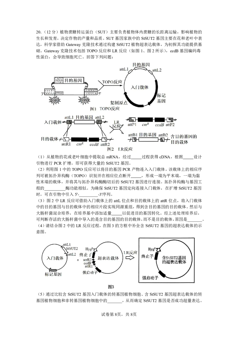 成都市第七中学2025~2026学年度下期高2026届二诊模拟考试生物_2024-2026高三（6-6月题库）_2026年03月高三试卷_260313四川省成都市第七中学2025~2026学年度下期高2026届二诊模拟考试（全科)
