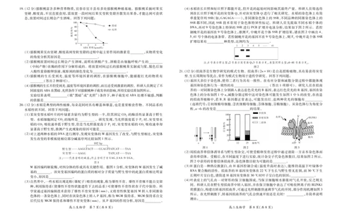 江西省宜春市2025-2026学年上学期高三期末考试生物_2024-2026高三（6-6月题库）_2026年02月高三试卷_260201江西省宜春市2025-2026学年上学期高三期末考试（全科）