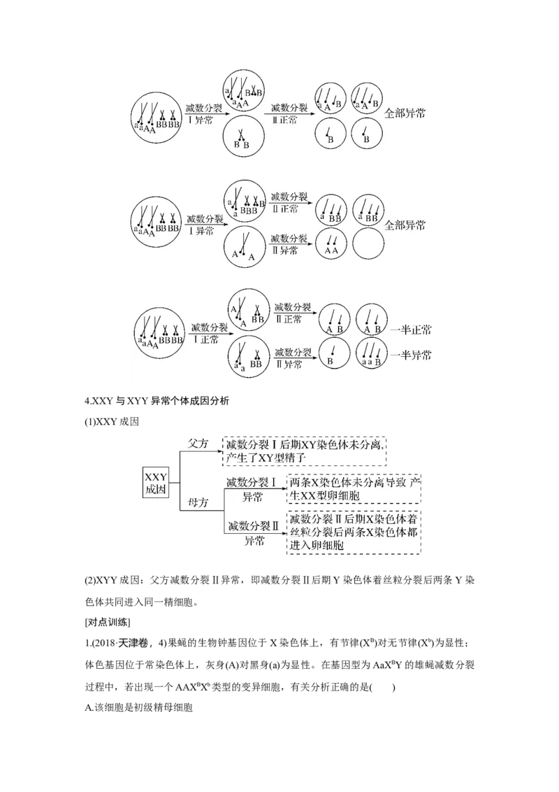 微专题6　减数分裂与可遗传变异的关系_新高考复习资料_2023年新高考复习资料_一轮复习_2023年新高考大一轮复习讲义_2023年高考生物一轮复习讲义（新人教新高考）_赠补充习题