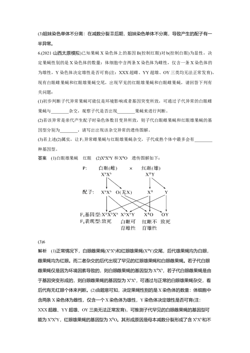 微专题6　减数分裂与可遗传变异的关系_新高考复习资料_2023年新高考复习资料_一轮复习_2023年新高考大一轮复习讲义_2023年高考生物一轮复习讲义（新人教新高考）_赠补充习题
