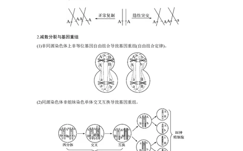 微专题6　减数分裂与可遗传变异的关系_新高考复习资料_2023年新高考复习资料_一轮复习_2023年新高考大一轮复习讲义_2023年高考生物一轮复习讲义（新人教新高考）_赠补充习题