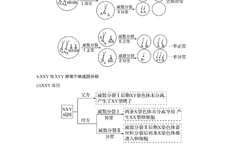 微专题6　减数分裂与可遗传变异的关系_新高考复习资料_2023年新高考复习资料_一轮复习_2023年新高考大一轮复习讲义_2023年高考生物一轮复习讲义（新人教新高考）_赠补充习题