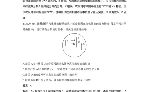 微专题6　减数分裂与可遗传变异的关系_新高考复习资料_2023年新高考复习资料_一轮复习_2023年新高考大一轮复习讲义_2023年高考生物一轮复习讲义（新人教新高考）_赠补充习题
