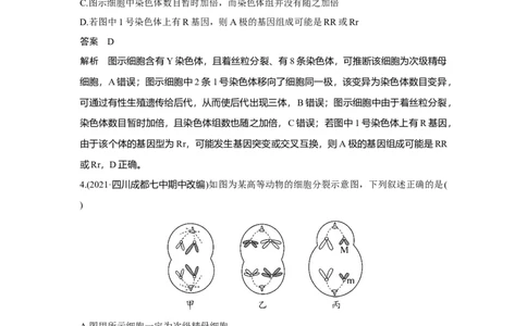 微专题6　减数分裂与可遗传变异的关系_新高考复习资料_2023年新高考复习资料_一轮复习_2023年新高考大一轮复习讲义_2023年高考生物一轮复习讲义（新人教新高考）_赠补充习题