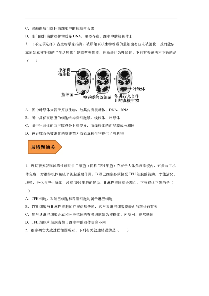 易错点04细胞的结构与功能-备战2023年高考生物考试易错题（新教材新高考）_新高考复习资料_2023年新高考复习资料_专项复习_备战2023年高考生物考试易错题（新教材新高考）
