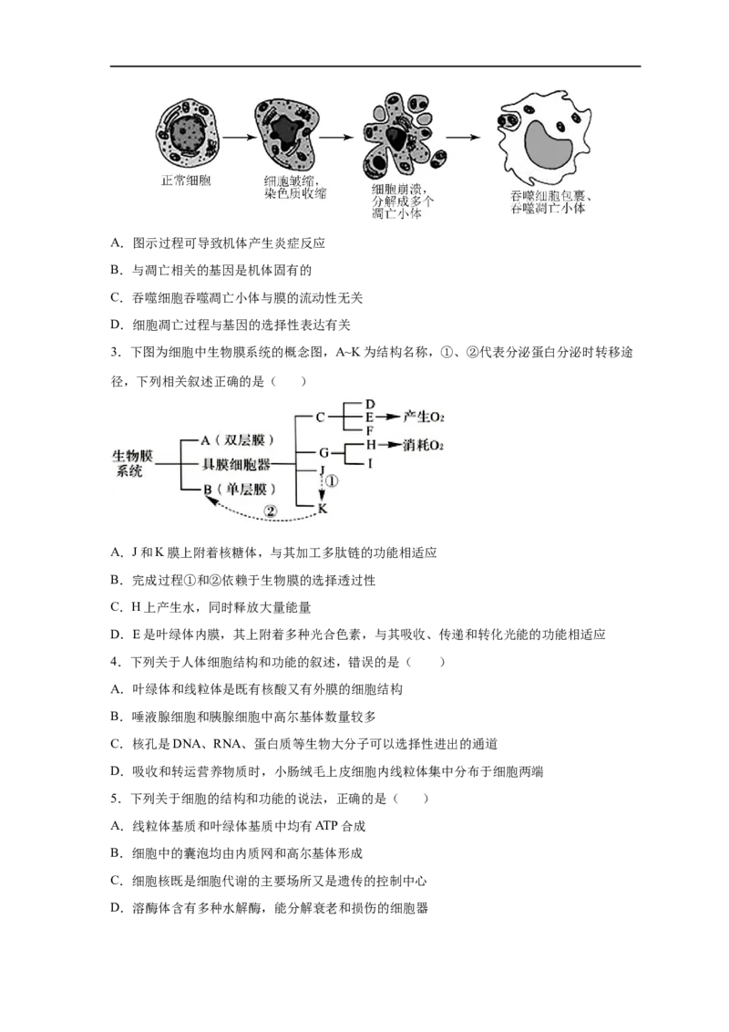 易错点04细胞的结构与功能-备战2023年高考生物考试易错题（新教材新高考）_新高考复习资料_2023年新高考复习资料_专项复习_备战2023年高考生物考试易错题（新教材新高考）