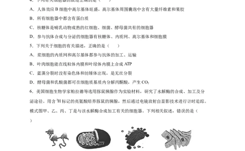 易错点04细胞的结构与功能-备战2023年高考生物考试易错题（新教材新高考）_新高考复习资料_2023年新高考复习资料_专项复习_备战2023年高考生物考试易错题（新教材新高考）