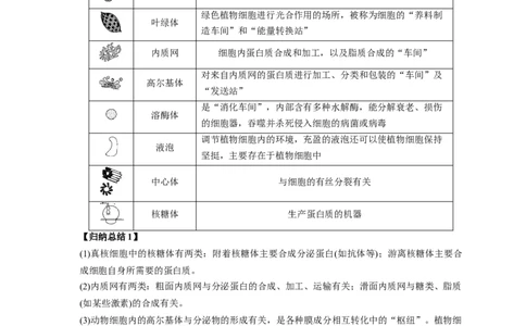 易错点04细胞的结构与功能-备战2023年高考生物考试易错题（新教材新高考）_新高考复习资料_2023年新高考复习资料_专项复习_备战2023年高考生物考试易错题（新教材新高考）