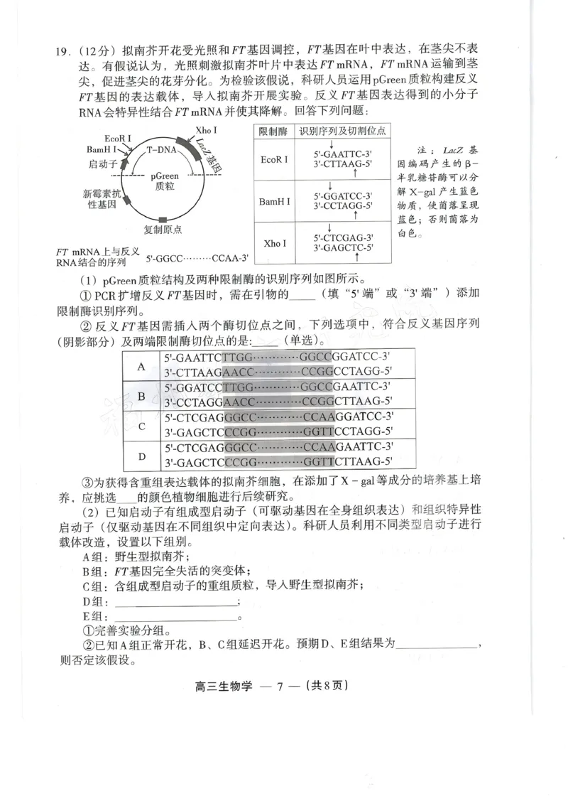 生物试题：2025-2026学年福州市高三年级三月质量检测_2024-2026高三（6-6月题库）_2026年03月高三试卷_260308福建省福州市2025-2026学年高三三月质量检测（全科）_生物