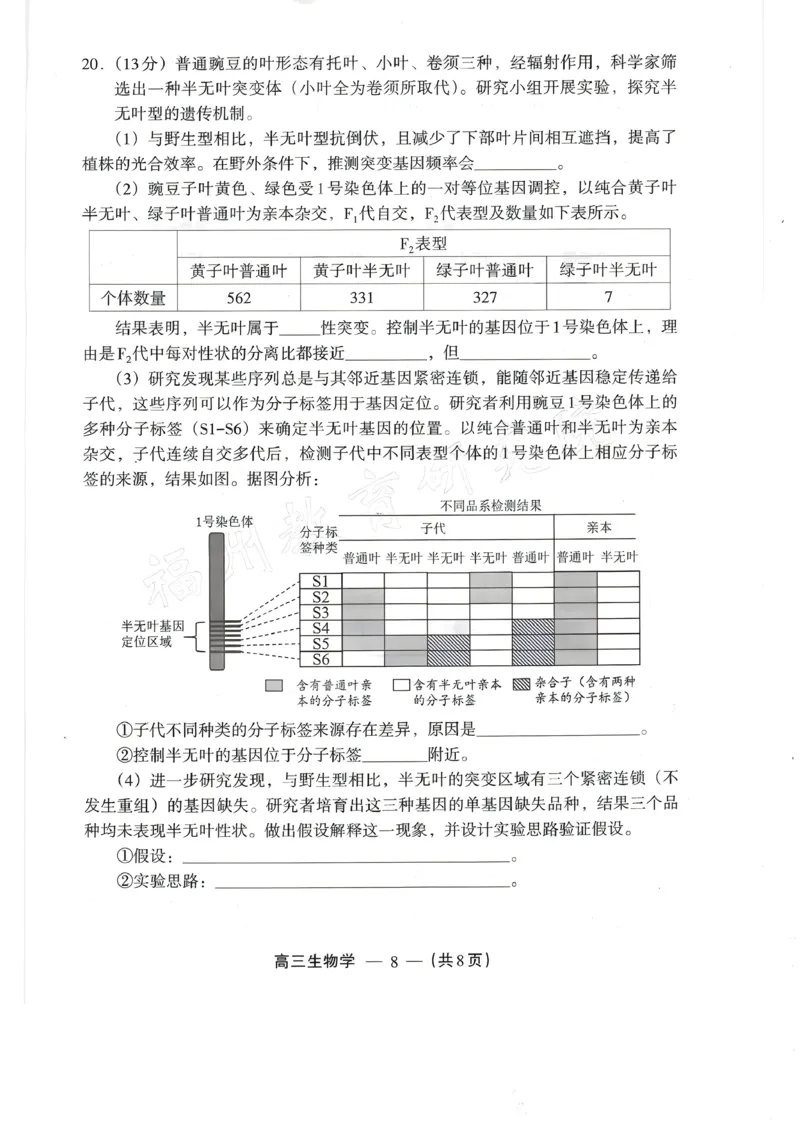 生物试题：2025-2026学年福州市高三年级三月质量检测_2024-2026高三（6-6月题库）_2026年03月高三试卷_260308福建省福州市2025-2026学年高三三月质量检测（全科）_生物