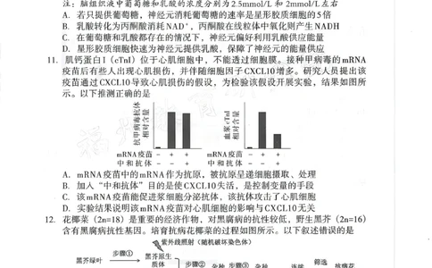 生物试题：2025-2026学年福州市高三年级三月质量检测_2024-2026高三（6-6月题库）_2026年03月高三试卷_260308福建省福州市2025-2026学年高三三月质量检测（全科）_生物
