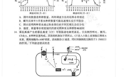 生物试题：2025-2026学年福州市高三年级三月质量检测_2024-2026高三（6-6月题库）_2026年03月高三试卷_260308福建省福州市2025-2026学年高三三月质量检测（全科）_生物