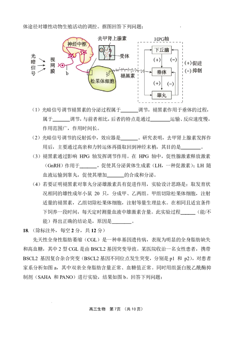 文昌中学2025一2026学年度第二学期高三第一次月考试题生物_2024-2026高三（6-6月题库）_2026年03月高三试卷_260318海南省文昌中学2025一2026学年度第二学期高三第一次月考试题（全科）