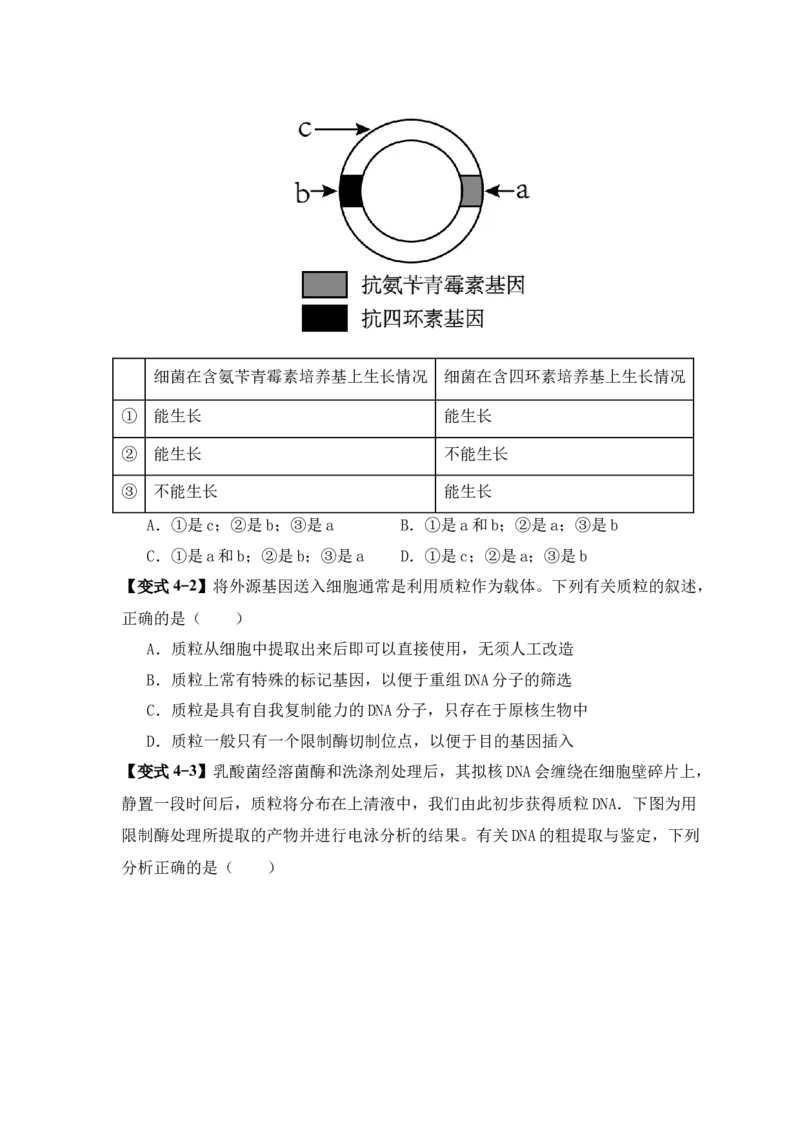 易错点17生物工程的&ldquo;四个&rdquo;不相等（原卷版）_新高考复习资料_2024年新高考复习资料_❤专项复习资料_完备战2024年高考生物考试易错题（新高考专用）