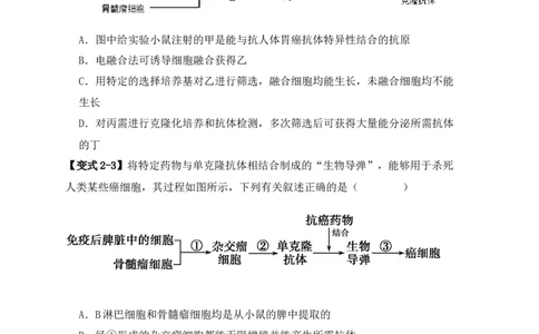 易错点17生物工程的&ldquo;四个&rdquo;不相等（原卷版）_新高考复习资料_2024年新高考复习资料_❤专项复习资料_完备战2024年高考生物考试易错题（新高考专用）