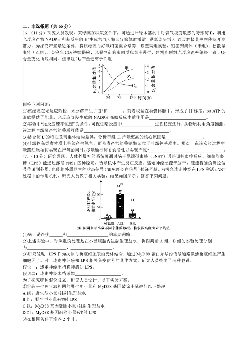 成都市第七中学2025&mdash;2026学年度下期高2026届开学考试生物_2024-2026高三（6-6月题库）_2026年03月高三试卷_260302四川省成都市第七中学2025&mdash;2026学年度下期高2026届开学考试（全科）