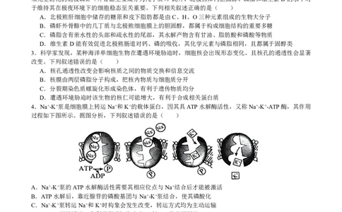 成都市第七中学2025&mdash;2026学年度下期高2026届开学考试生物_2024-2026高三（6-6月题库）_2026年03月高三试卷_260302四川省成都市第七中学2025&mdash;2026学年度下期高2026届开学考试（全科）