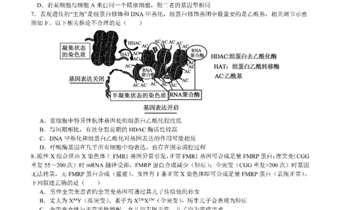 成都市第七中学2025&mdash;2026学年度下期高2026届开学考试生物_2024-2026高三（6-6月题库）_2026年03月高三试卷_260302四川省成都市第七中学2025&mdash;2026学年度下期高2026届开学考试（全科）