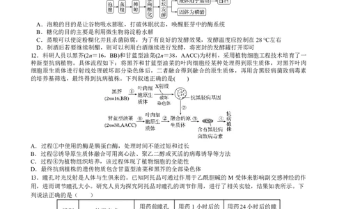 成都市第七中学2025&mdash;2026学年度下期高2026届开学考试生物_2024-2026高三（6-6月题库）_2026年03月高三试卷_260302四川省成都市第七中学2025&mdash;2026学年度下期高2026届开学考试（全科）