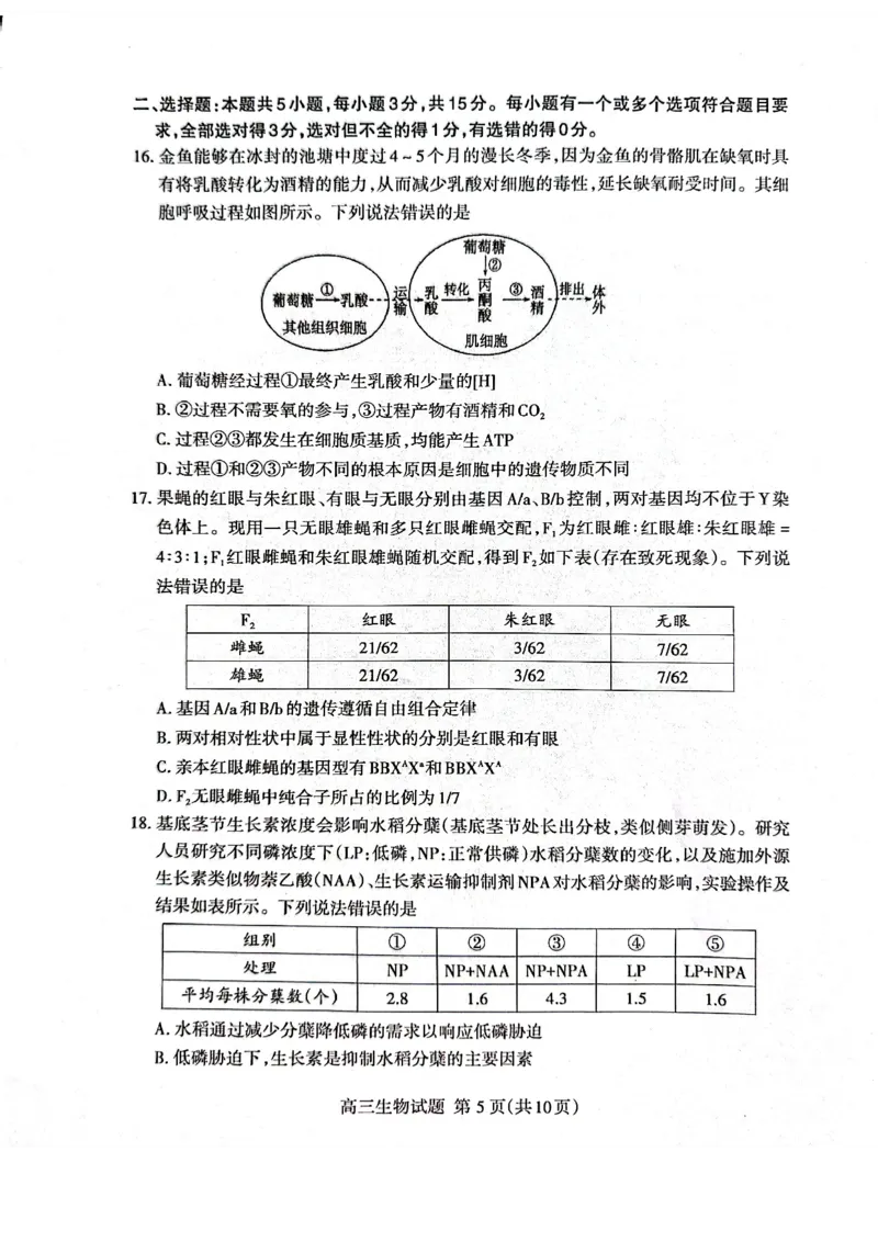 生物试题_2024-2026高三（6-6月题库）_2026年04月高三试卷_260418山东省泰安市2026年高三二模考试（全科）_山东省泰安市2026年高三二模考试生物试题